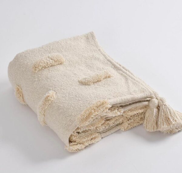 WhatsApp Image 2024-01-25 at 4.24.42 PM (2)