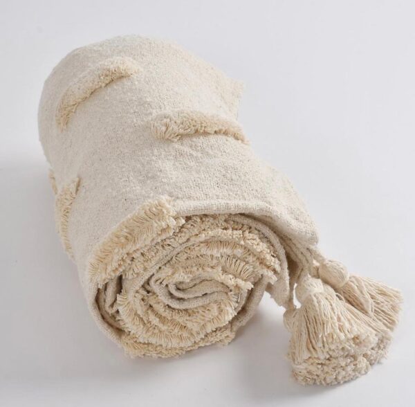 WhatsApp Image 2024-01-25 at 4.24.42 PM